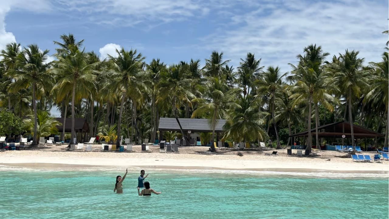 Une plage de sable blanc bordée de palmiers à Bayahibe, près de Punta Cana