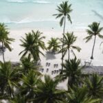 Vue aérienne d'une plage de palmiers et de transats en République dominicaine