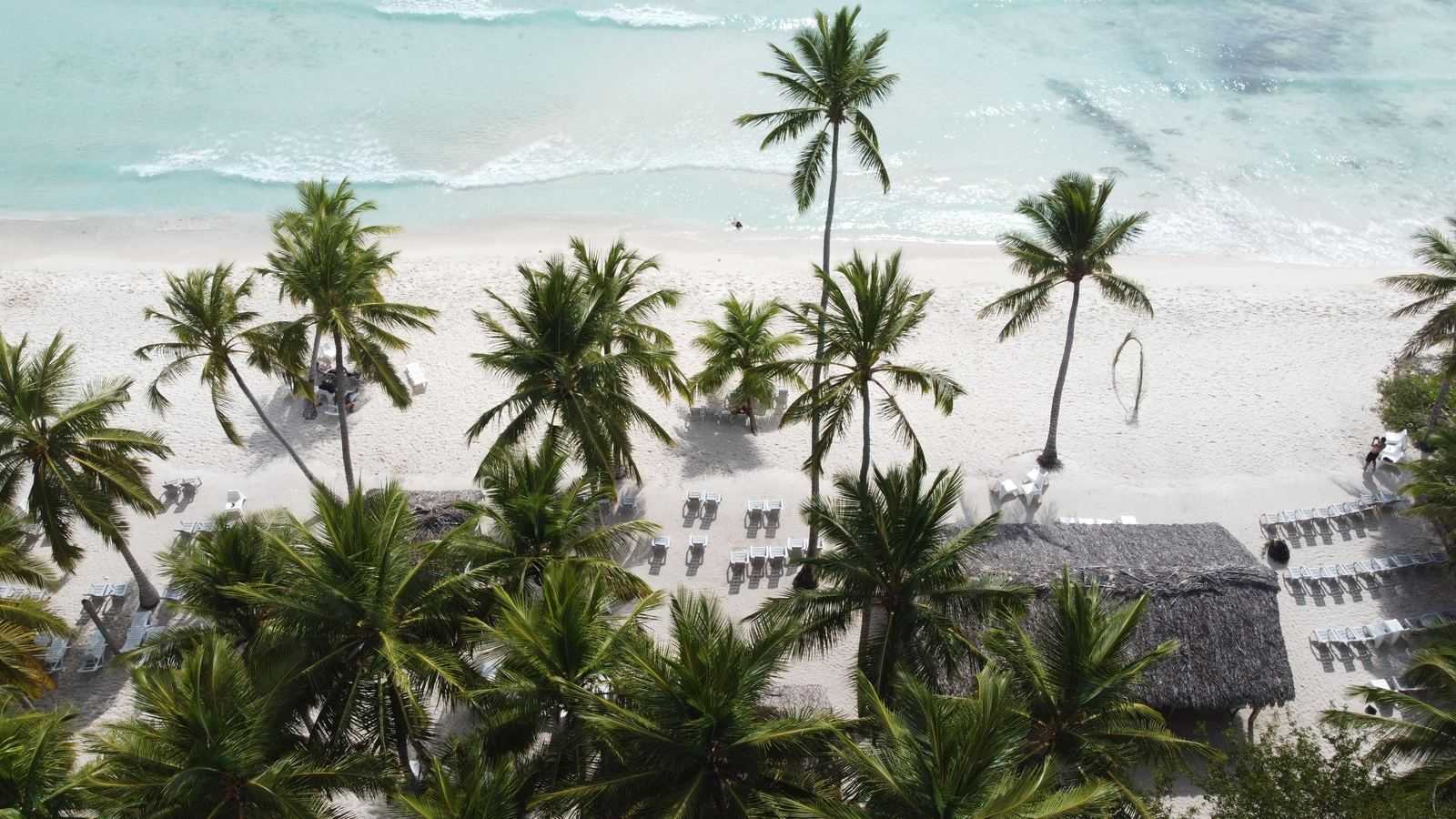 Vue aérienne d'une plage de palmiers et de transats en République dominicaine