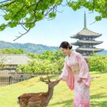 Une femme en kimono nourrit un cerf devant une pagode à cinq étages, dans le parc de Nara